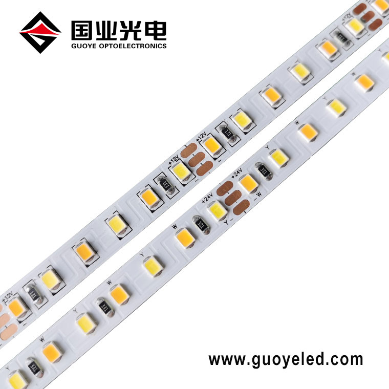 Chromatic Versatility: Applications and Benefits of Double Color LED Strip Lights