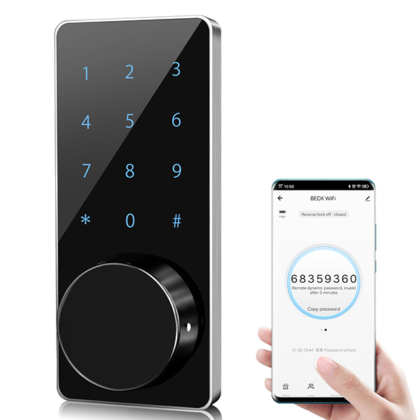 Expanding Possibilities: The Synergy of WiFi Connectivity and Bluetooth in Cabinet Locks