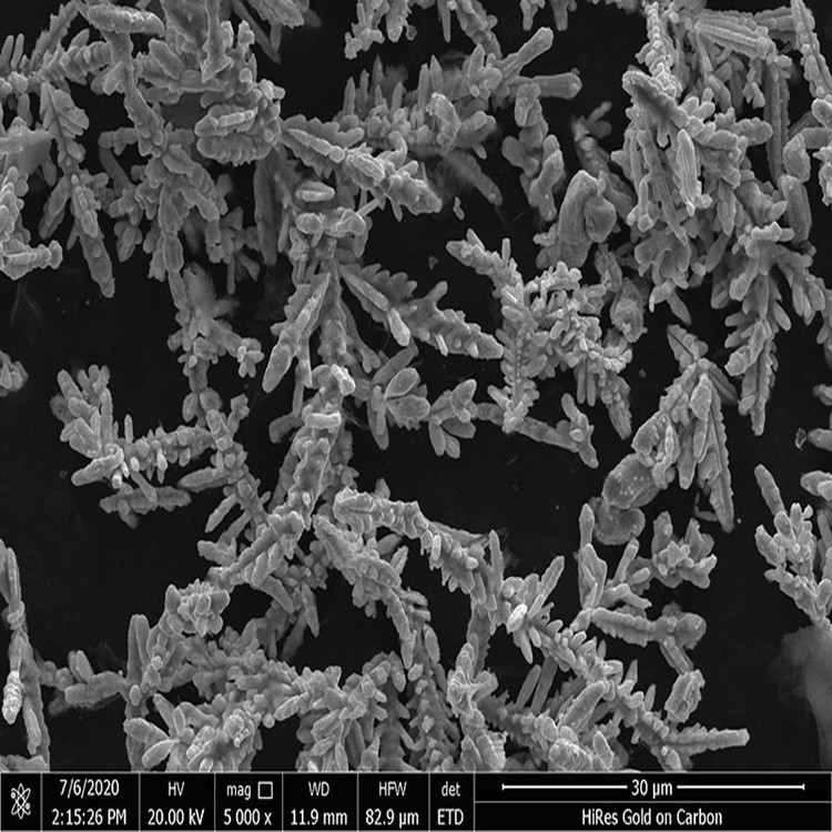 Exploring the Preparation of Dendritic Silver-coated Copper Powder: A Step-by-Step Guide
