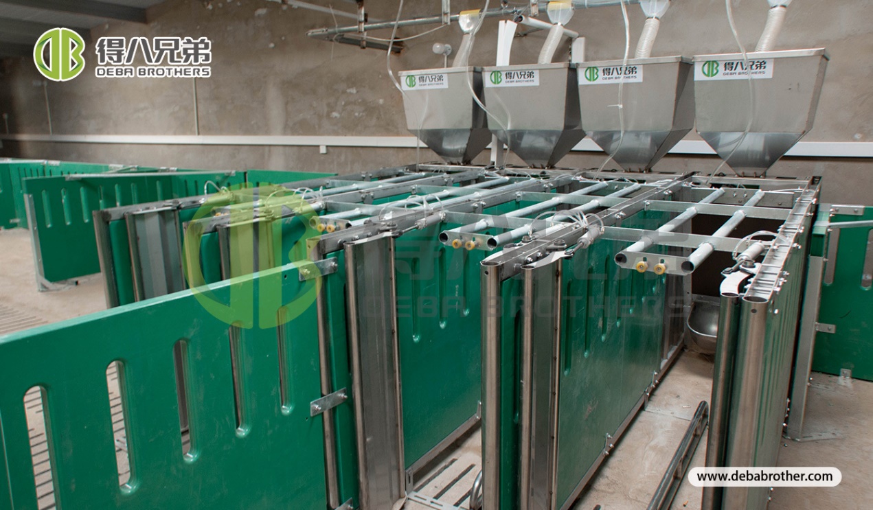 Why we need to design a professional pig farm
