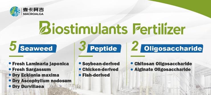 Top 10 Biostimulant Ranking: Best Products for Healthier Crops